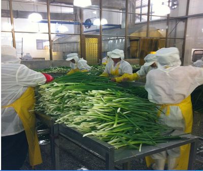 脫水蔬菜、脫水蔥片、調(diào)味包、餅干專用、烘焙料,廠家直銷