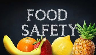 金山區舉辦2018年食品 食品添加劑生產企業檢驗員培訓