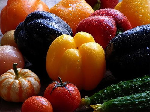 全球近70個國家禁止,只有中國吃轉(zhuǎn)基因 轉(zhuǎn)基因食品到底有害嗎